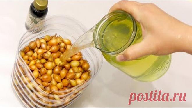 ТРОЙНАЯ ЗАЩИТА ЛУКА СЕВКА ПЕРЕД ПОСАДКОЙ! ОБРАБОТКА ОТ БОЛЕЗНЕЙ, ВРЕДИТЕЛЕЙ + ПОДКОРМКА!