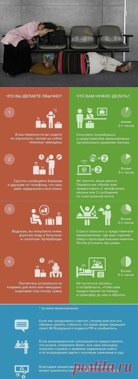 (+1) тема - Если ваш рейс задержали | ПОТРЕБИТЕЛЬ, БДИ
