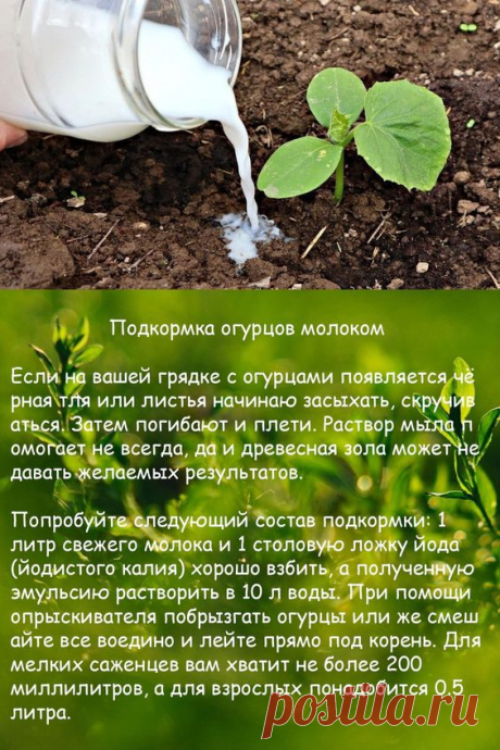 (918) Pinterest