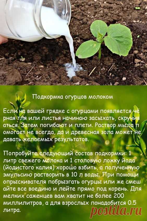 (918) Pinterest