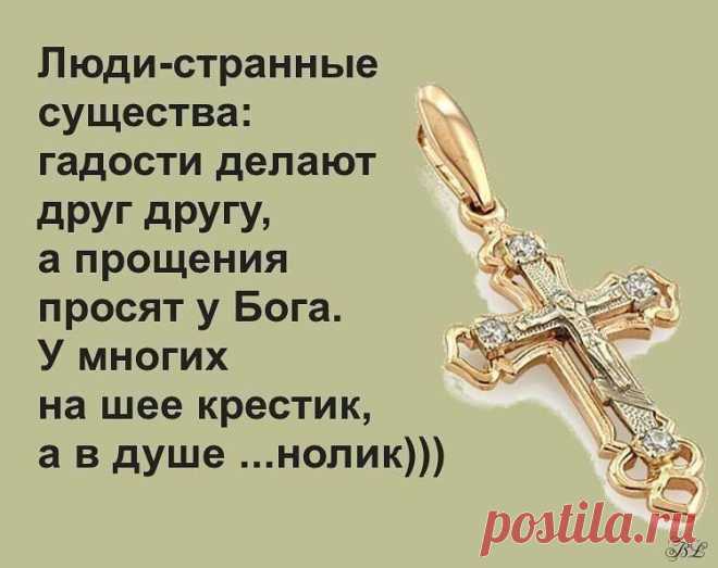(6) Гульжан Амантаева