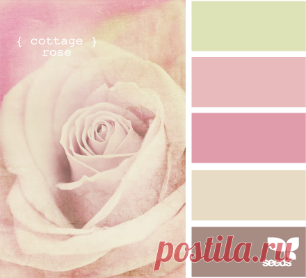 Цветы, деревья — источник вдохновения! | BepHuK собирает друзей