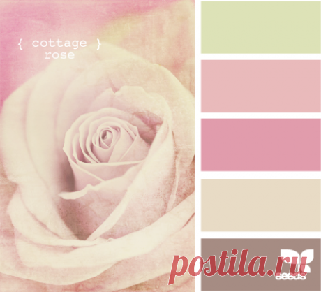 Цветы, деревья — источник вдохновения! | BepHuK собирает друзей