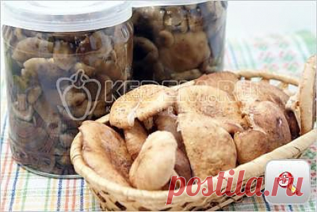 Маринованные опята на зиму - Заготовки. Маринование