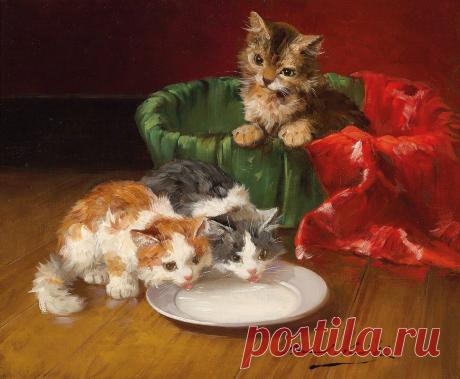 Альфред-Артур Брюнель де Нёвиль (Alfred Arthur Brunel de Neuville), 1851-1941. Франция - Котята и натюрморты