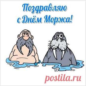 Прикольные Картинки С Днем Моржа (12 Новых Открыток) | Всё для праздника