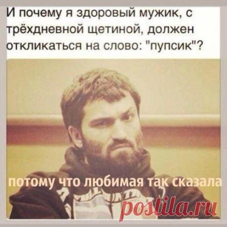 Пупсик - Блоги на ВетоНет