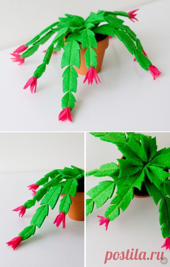(1) Pinterest