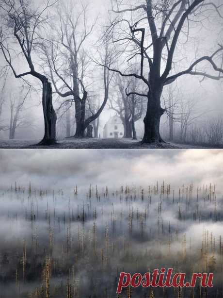 Туманные пейзажи фото. Облачный лес Kilian Schonberger | Cовременное искусство | contemporary art