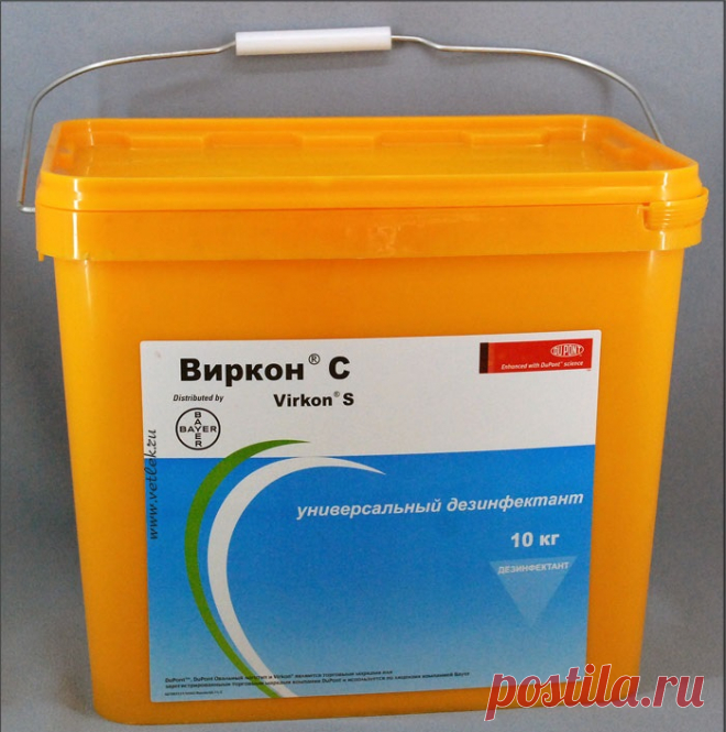 Виркон - инструкция по применению, описание, отзывы – NeBolet.com
