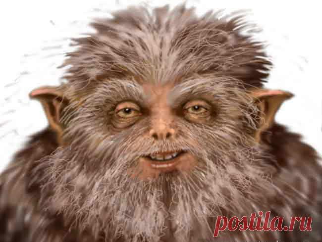 Кто такие домовые?