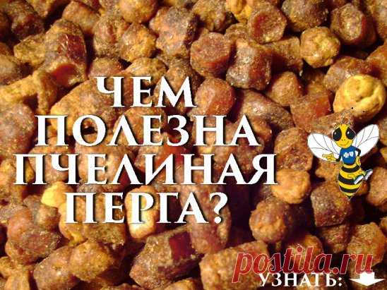Пчелиная перга.