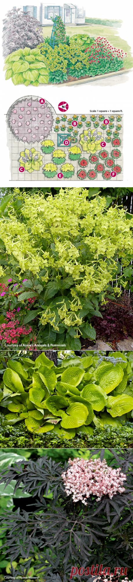 Budget-friendly garden border | Garden Gate