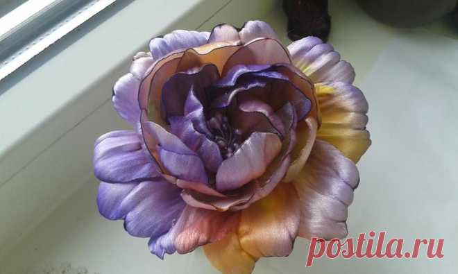 (9) Facebook