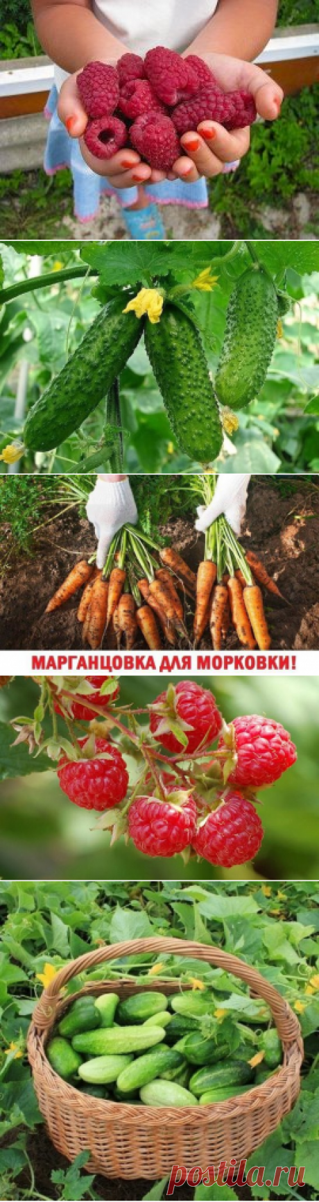 (51) Одноклассники