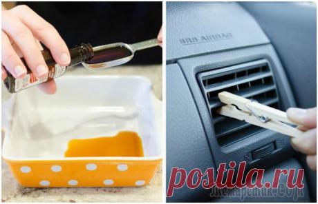 Без «химии»: 15 простых и бюджетных способов, как наполнить квартиру и авто приятным ароматом