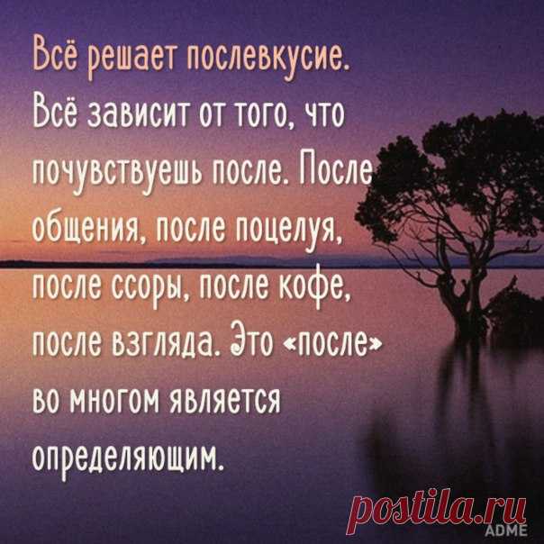 все решает послевкусие цитата - Поиск в Google