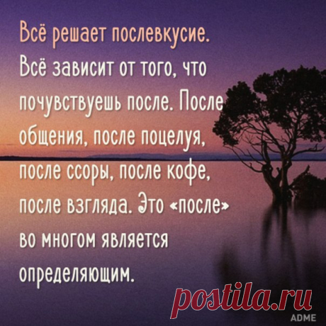 все решает послевкусие цитата - Поиск в Google