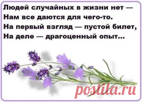 Случайности не случайны или всё происходит не просто так | Торжество православия | Дзен