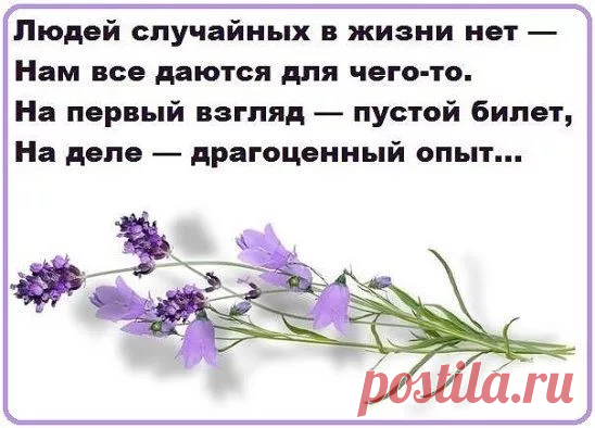 Случайности не случайны или всё происходит не просто так | Торжество православия | Дзен