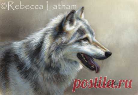 74-я выставка художников-миниатюристов, скульпторов и граверов – Вашингтон, округ Колумбия | Картины дикой природы и природы Ребекки Лэтэм