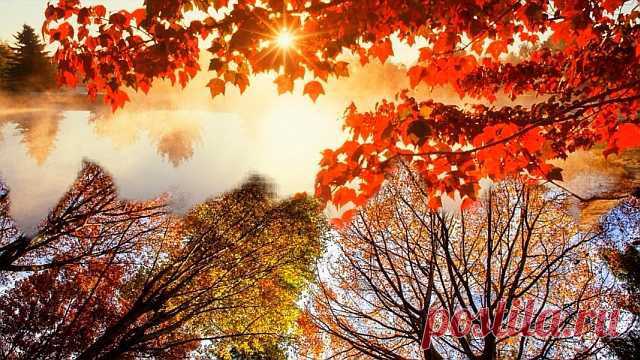 Эффекты переходов ProShow Producer - Alpha Magic_PN3 - Iazon - Studio