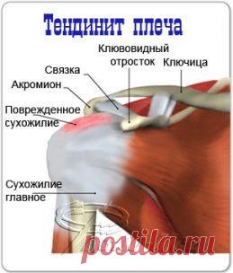 Наше здоровье Будьте здоровы вместе с нами