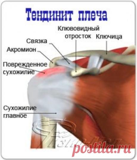 Наше здоровье Будьте здоровы вместе с нами