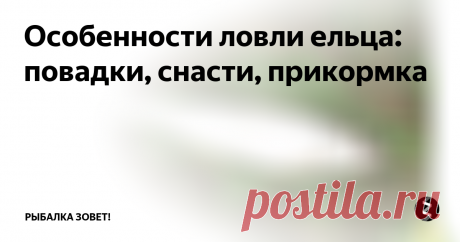 Особенности ловли ельца: повадки, снасти, прикормка Елец не отличается крупными размерами, поэтому многие считают, что ловить эту рыбу нет смысла. Однако небольшой размер компенсируется хорошими вкусовыми качествами рыбы, а также увлекательным процессом ее ловли.
Рыбалка на ельца отличается особым азартом. После того, как елец попался на крючок, он начинает активно сопротивляться. Для того, чтобы вытащить ее из воды нужно обладать определенными нав