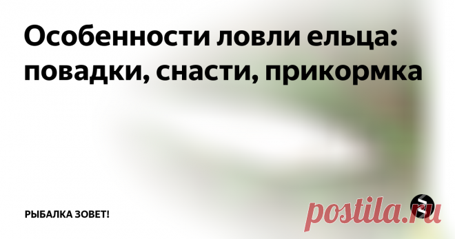 Особенности ловли ельца: повадки, снасти, прикормка Елец не отличается крупными размерами, поэтому многие считают, что ловить эту рыбу нет смысла. Однако небольшой размер компенсируется хорошими вкусовыми качествами рыбы, а также увлекательным процессом ее ловли.
Рыбалка на ельца отличается особым азартом. После того, как елец попался на крючок, он начинает активно сопротивляться. Для того, чтобы вытащить ее из воды нужно обладать определенными нав