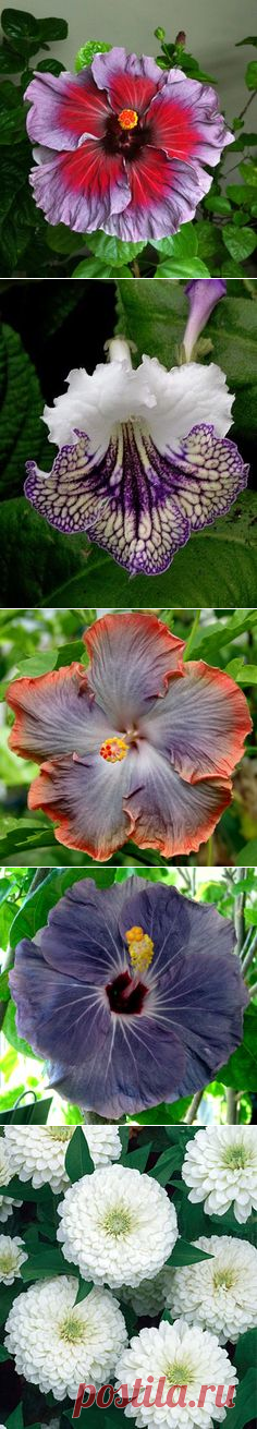 (108) в pinterest • каталог мировых идей