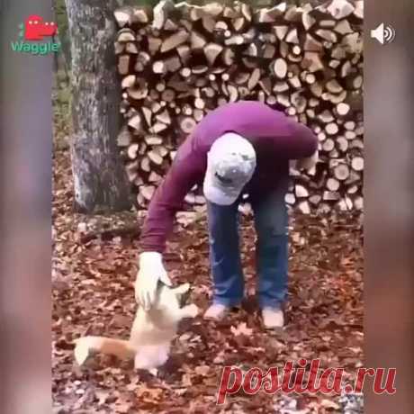 user8698786476497 (@userl735) TikTok | Watch user8698786476497's Newest TikTok Videos