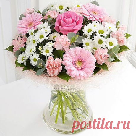 (5) Одноклассники