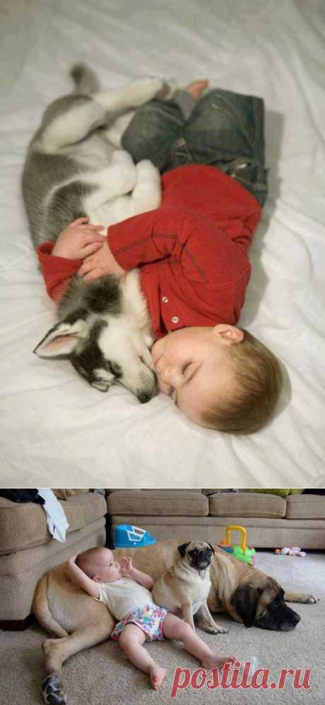 25 доказательств, что детям нужны домашние животные