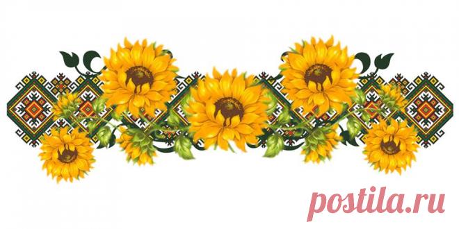 (4) Сучасний Учитель - Главная