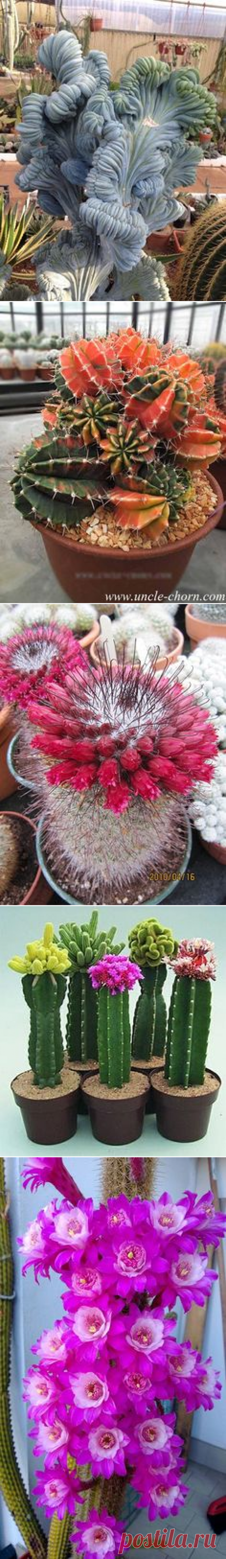 (59) Pinterest • Всемирный каталог идей