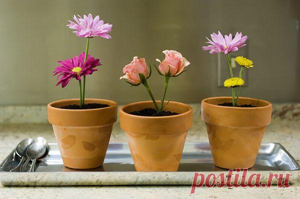 Оооооочень оригинальный десерт