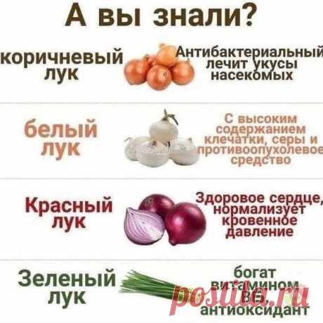 Лук