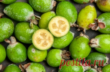 Сколько фейхоа можно съесть за день без вреда? В течение дня можно съедать не более 300 граммов фейхоа без вреда для здоровья, сообщила в беседе с aif.ru диетолог Татьяна Селезнева.