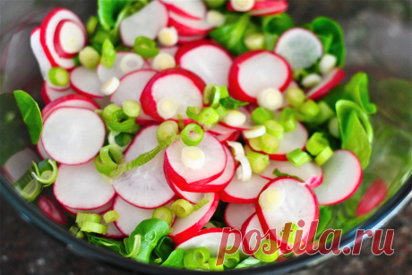 Весенние салаты - 10 вкусных рецептов » Женский Мир