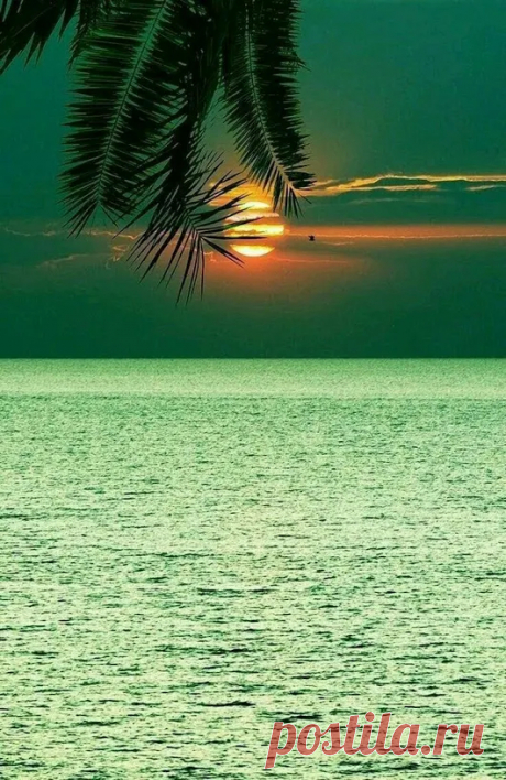 Google+