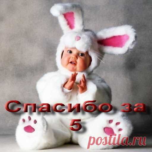 Фото СПАСИБО!. Альбом БЛАГОДАРНОСТИ - 50 фото. Фотографии zoja simonova.