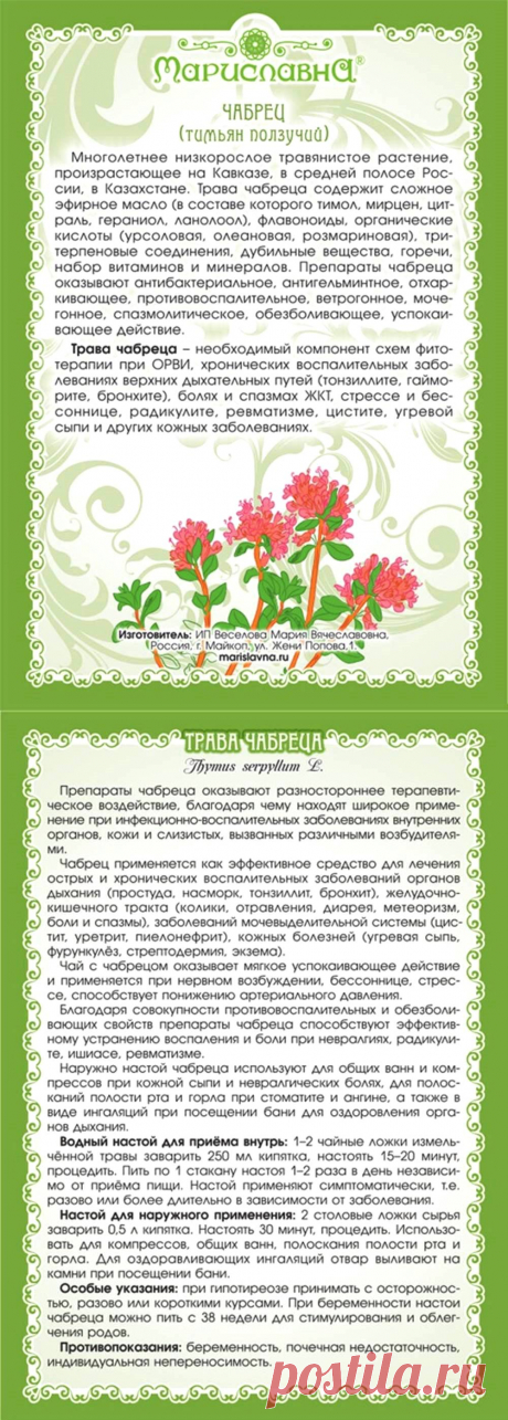 Тимьян ползучий (чабрец)