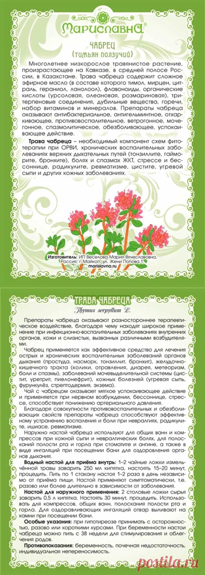 Тимьян ползучий (чабрец)