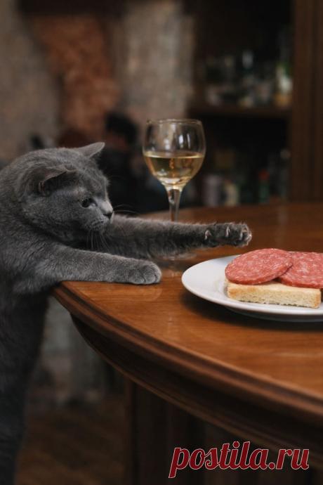 Клуб одиноких сердец