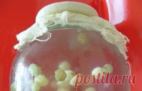 Банка с белесой жидкостью всегда стоит на подоконнике, а гости записывают рецепт! 

Периодические боли в спине, хруст и ломота в суставах — то, с чем сталкиваются многие. Малоподвижный образ жизни и накопление солей в организме так или иначе приводят к проблемам с опорно-двигательной системой, и тогда нужно делать выбор: тратить деньги на дорогие препараты или прибегнуть к естественным методам?

Обладая приятным ароматом и мягким сладковатым вкусом, он идеально подходит дл...