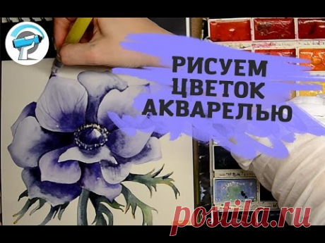 Как Нарисовать Цветок Акварелью | Уроки рисования акварелью от Ирины Сарт