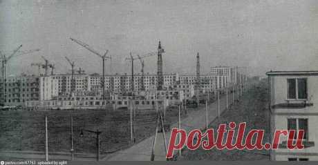 Фотография - Кузьминки - Фотографии старой Москвы