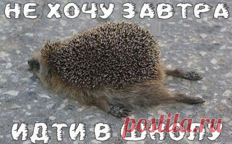 Не хочу туда идти | Поэзия