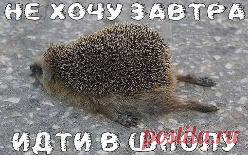 Не хочу туда идти | Поэзия